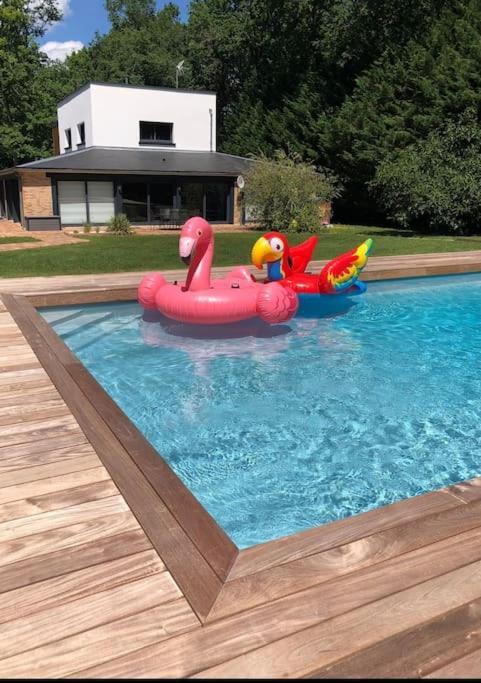 Magnifique Villa Avec Piscine En Sologne Vouzeron Eksteriør billede